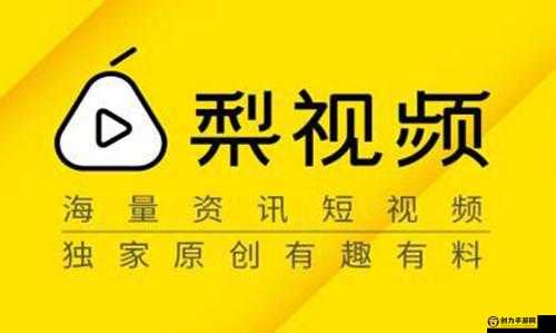 成品短视频软件网站：优质内容汇聚之地，畅享精彩短视频时光